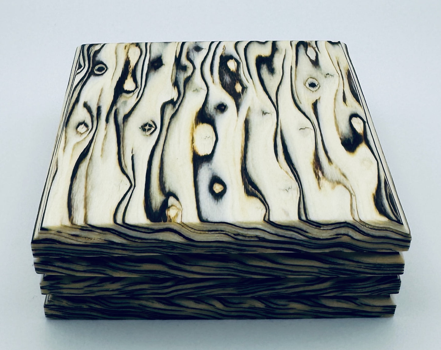 Executive Coasters - Birch Burl