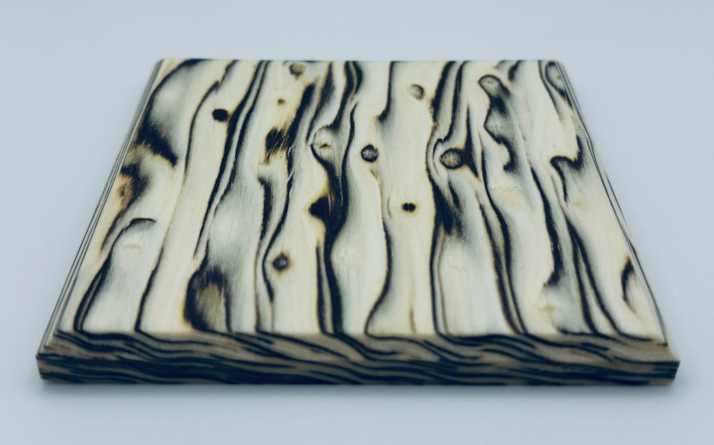 Executive Coasters - Birch Burl