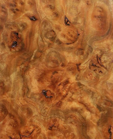 Camphor Burl 
