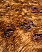 Cottonwood Burl