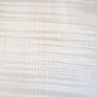 Rippled Sycamore