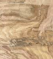 Spalted Locust