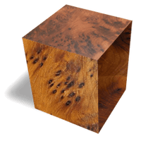 Thuya Burl